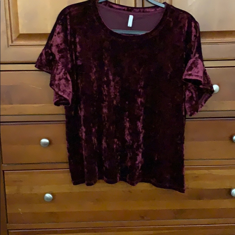 Z Supply crushed velvet blouse